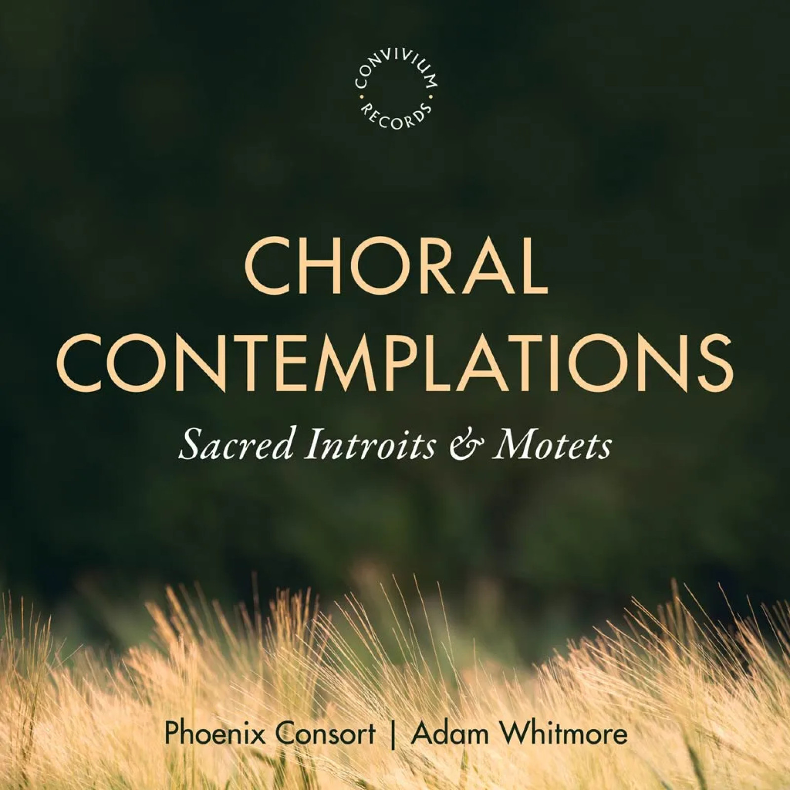 Choral Contemplations Album Cover - copyright Convivium Records